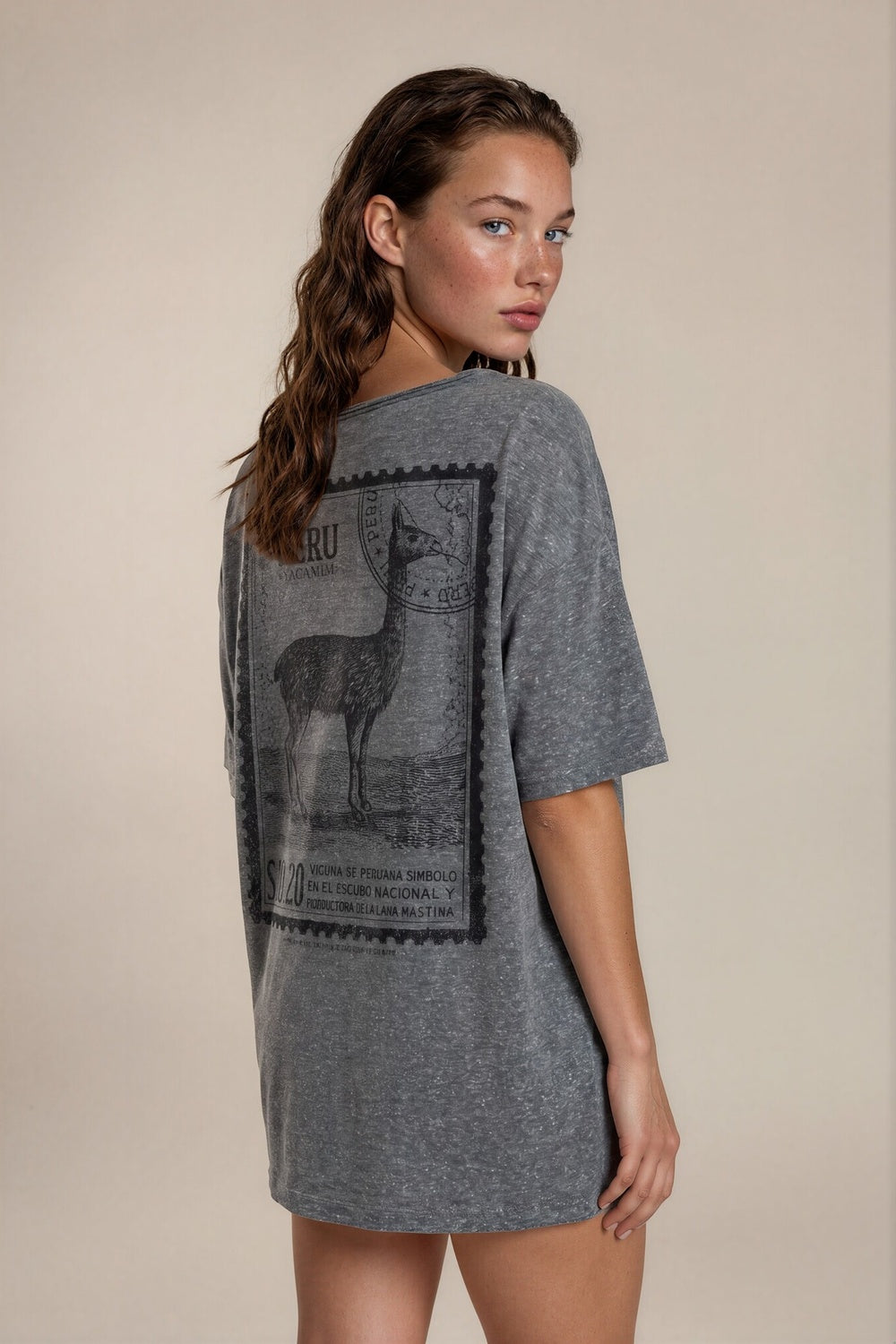 Blusa Básica Cinza Estampada Nas Costas Coleção Peru Yacamim K16
